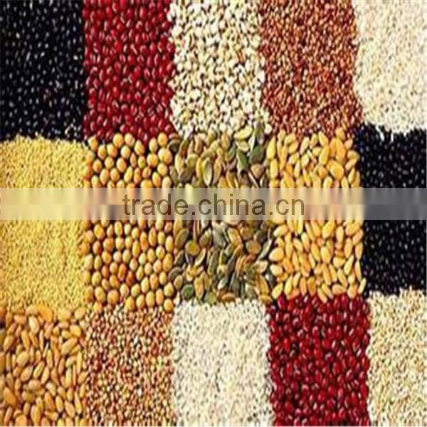 Factory directly supply stainless steel corn roasting machine
