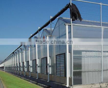 Isolated and Quarantin Glass Greenhouse