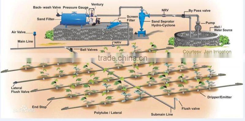 PE pipe drip arrow use for agriculture greenhouse irrigation