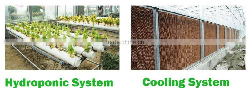 Complete Polycarbonate Tunnel Greenhouse Kits Wholesale