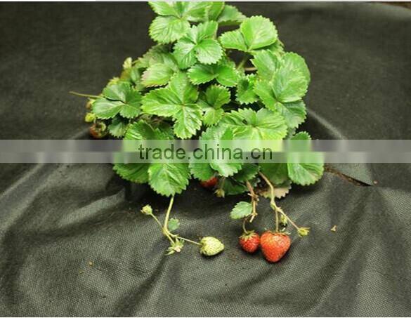 Plant Protector Sheet