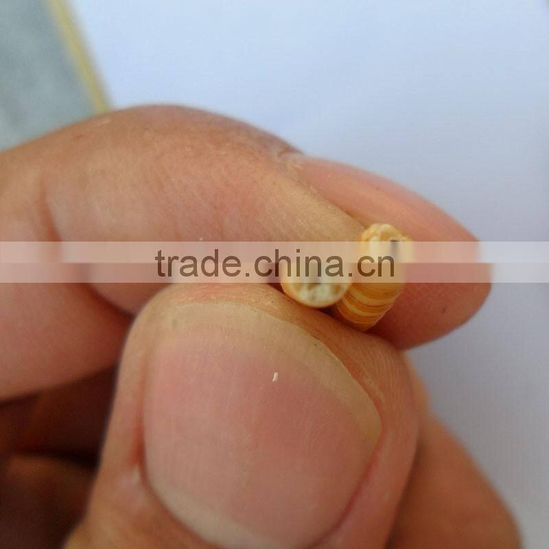 Cat Food Freeze 2.5--2.8 cm Dried Mealworms;Dried Mealworms For Cat