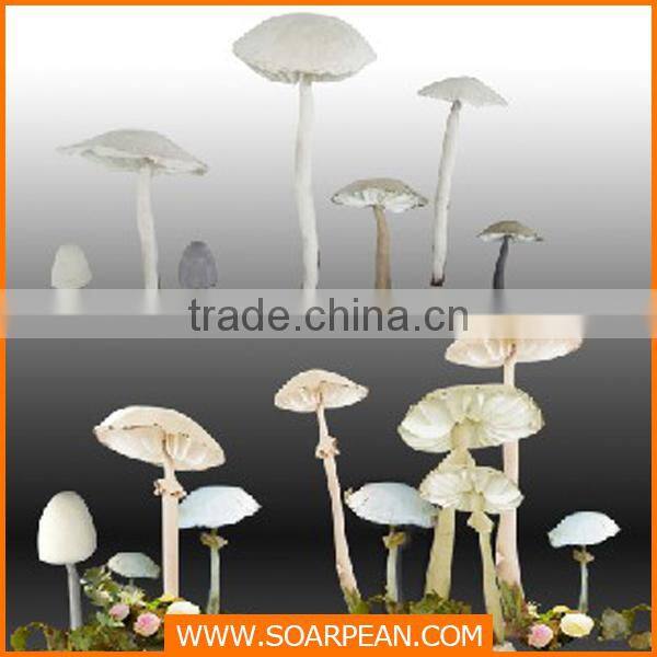 Fashion Customized Store Wall Display Case