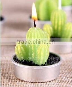 Cactus and Grape Plant Birthday Scented Candle