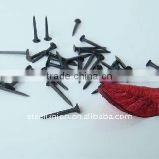 Linyi shoe tack nails (factory)/blue shoe nail/ three star shoe tack