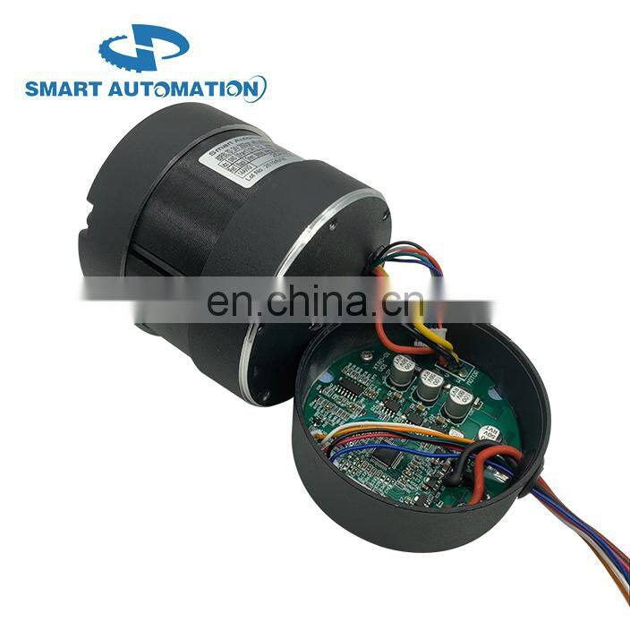 big torque 24v bldc gear motor DC Brushless 10Nm 20Nm 30Nm 100w 200w with driver / controller integrated