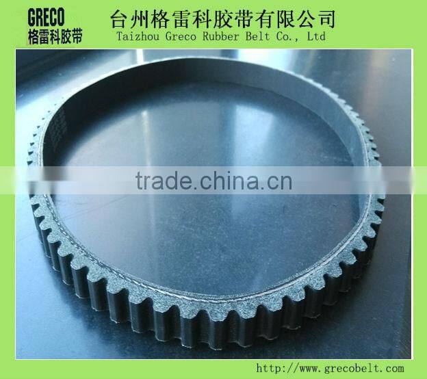 VS15/VS19/VS22 Motorcycle V-belts