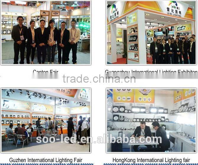 LED Park light led street light 30W replacement with high quality