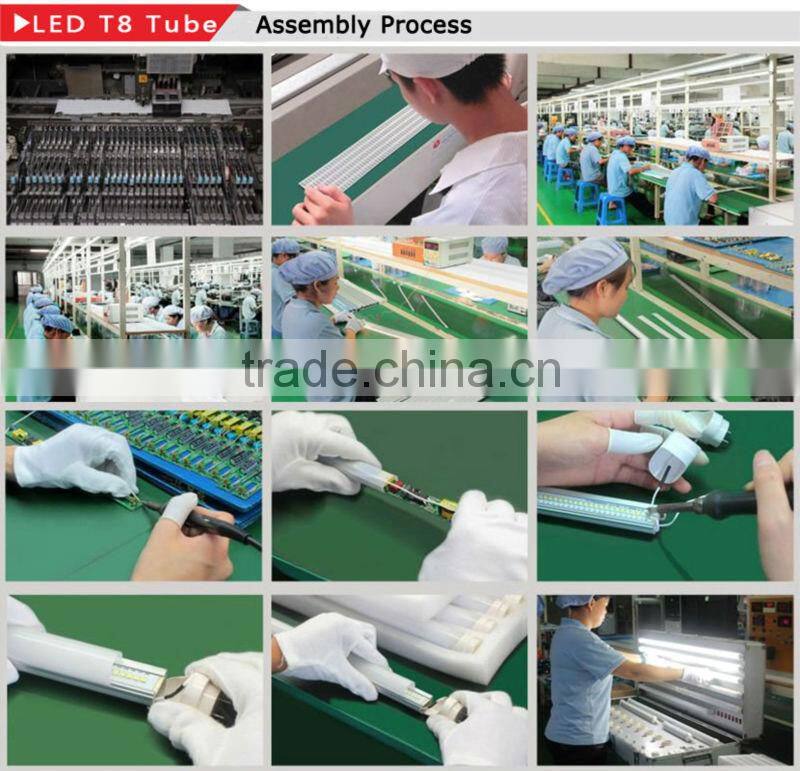 3 years warranty LED lighting samsung 5630 clear cover 1200MM t8 led integrated tube