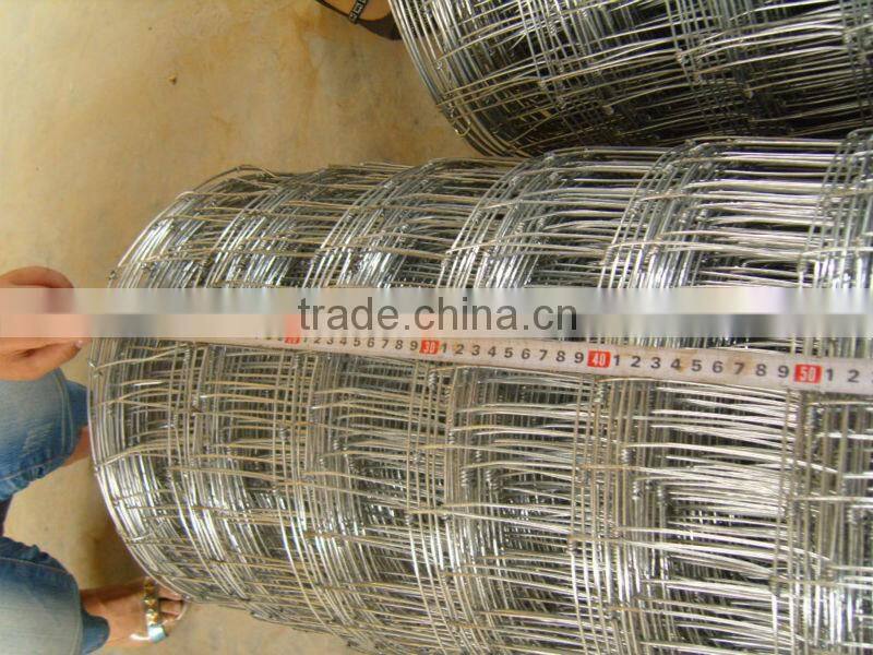 baseball sport field fence