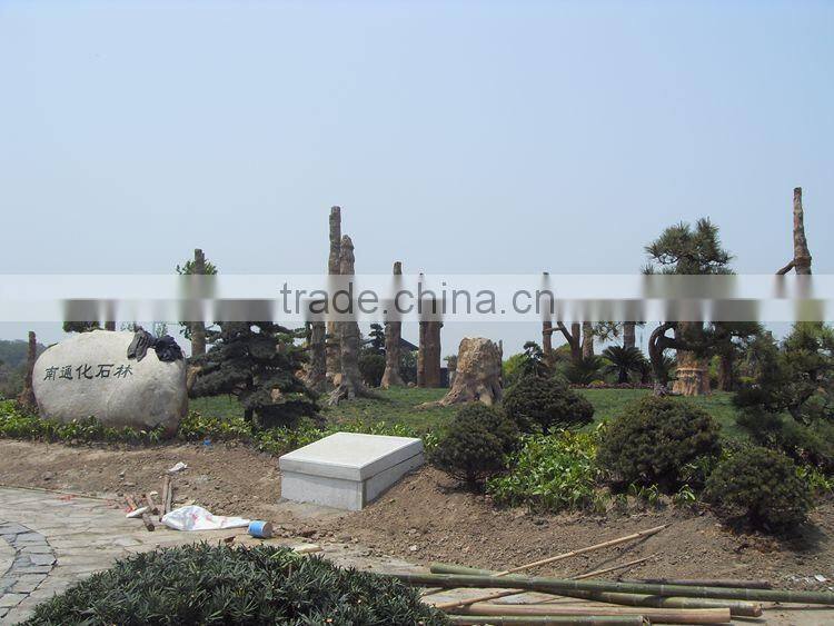 Simulation plant siliciffied wood