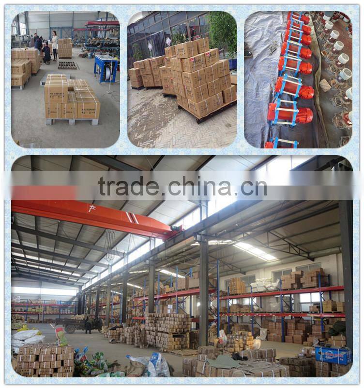 hot sale small 500kg electric winch Electric Wire Rope Hoist Winch