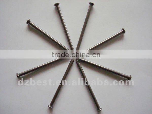 common iron round flat head nail