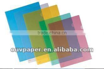 Colourful transparent L folder