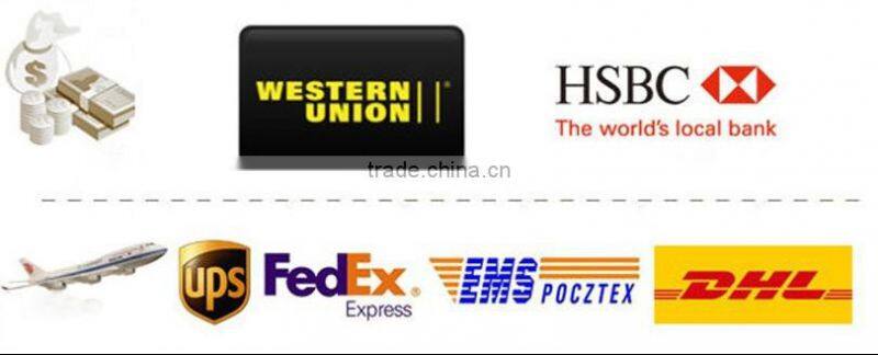 NEWS! Sales Promotion professtional 2 hand pieces Cryolipolysis cryo liposuction machine