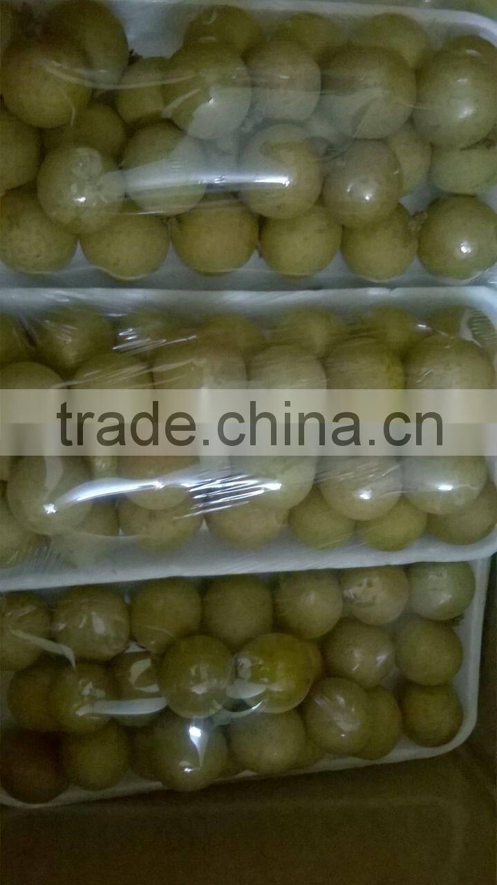 Longan fruit- high quality competitive price from Vietnam