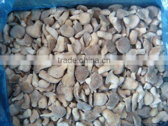 Chinese IQF frozen oyster mushroom