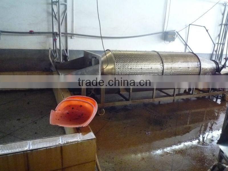 Block black fungi with white back