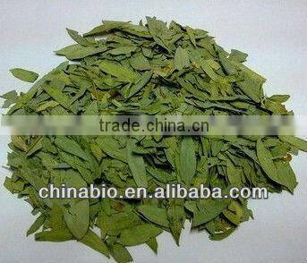 GMP Factory Supply Natural Senna Leaf Extract Sennosides