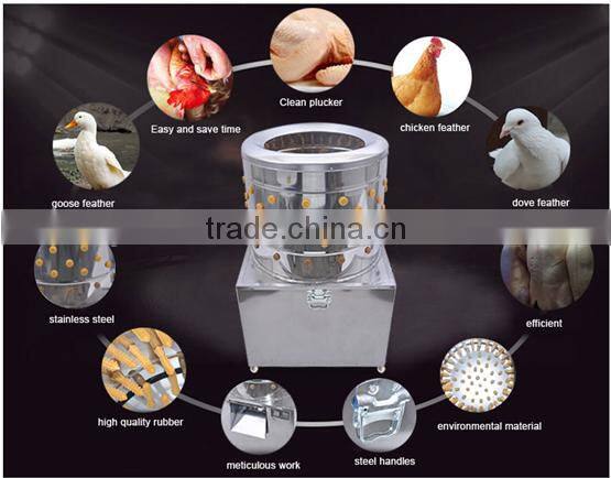 Automatic stainless steel chickens, ducks and goose poultry hair removal machine for small business