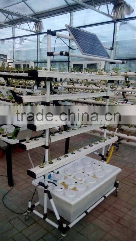 hydroponic vertical (perpendicular)system