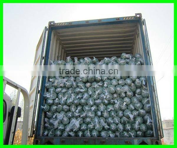 High quality sunshade netting