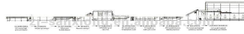 fruit and vegetable processing line