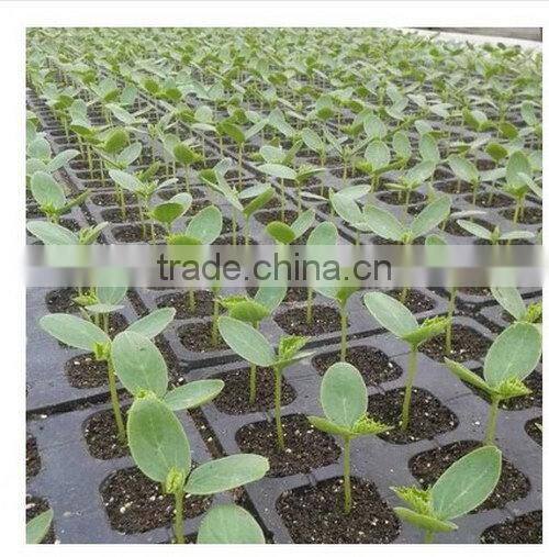 Cost price Reliable Quality competitive price seed tray mould