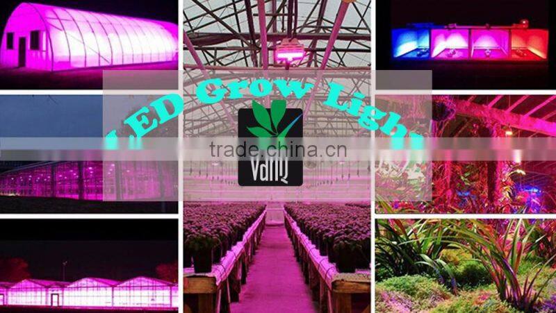 best selling led grow light bar 150w for greenhosue cucumber tomato factory price plant lighting tube