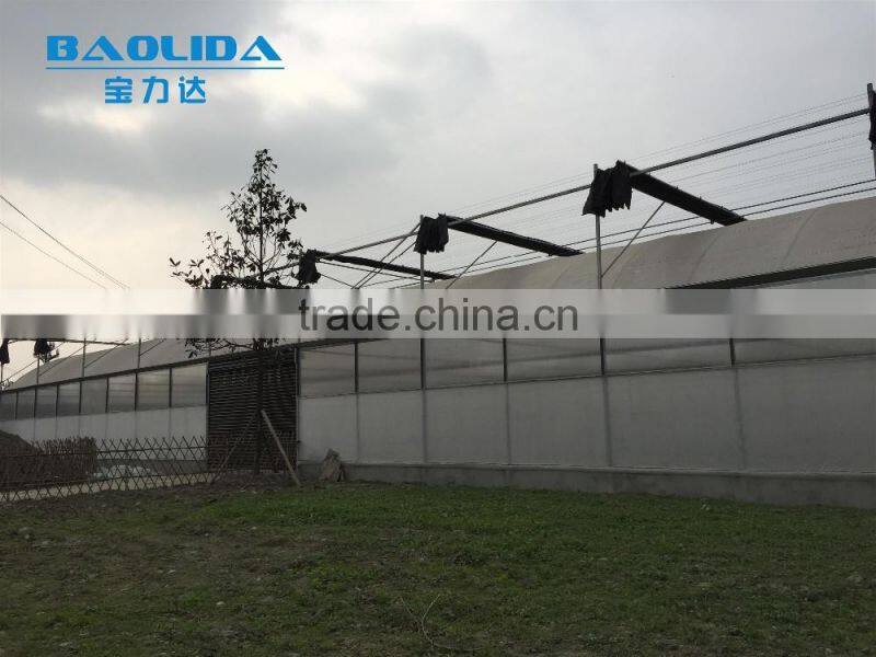 large plastic film multi-span greenhouse poly covering greenhouse