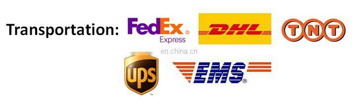 Oval shape plastic movalbe Googly eyes