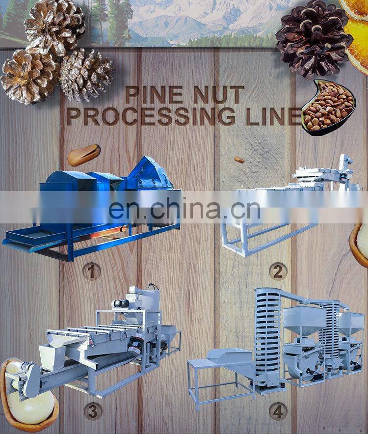 pine nut processing machine pine cone crusher pine nut cracking machine