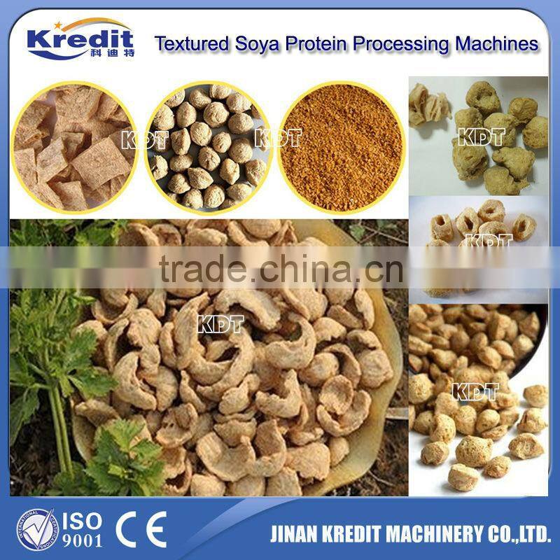 High Efficiency New Modern Soya Protein Processing Line