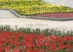 Plastic nursery pots and planters