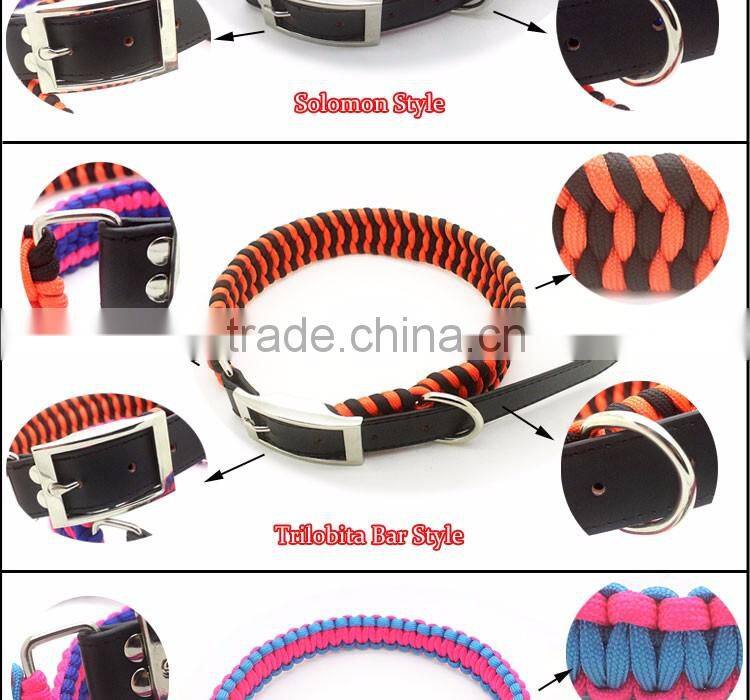 wholesale pet dog training collar leash