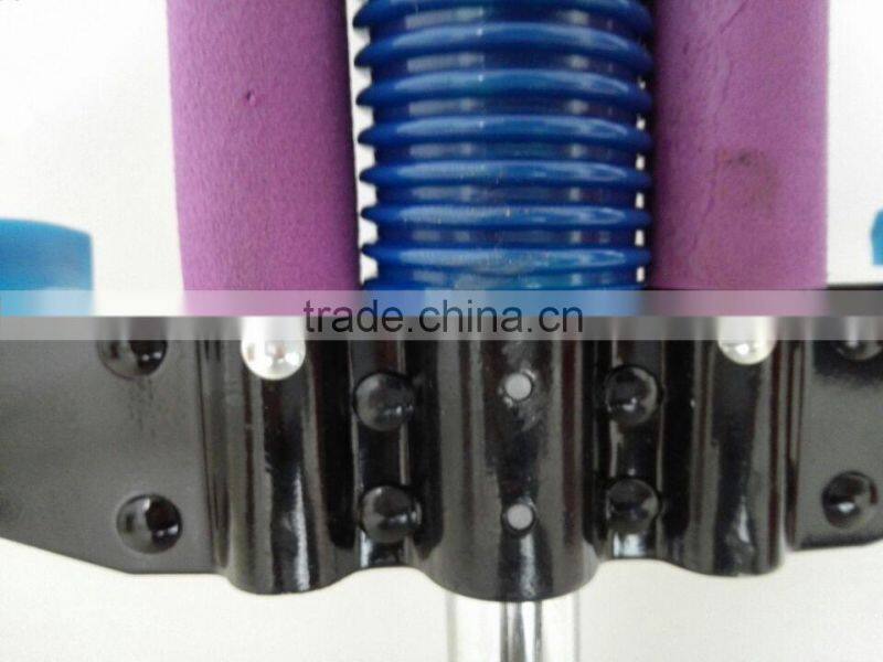 Elegant purple pogo stick