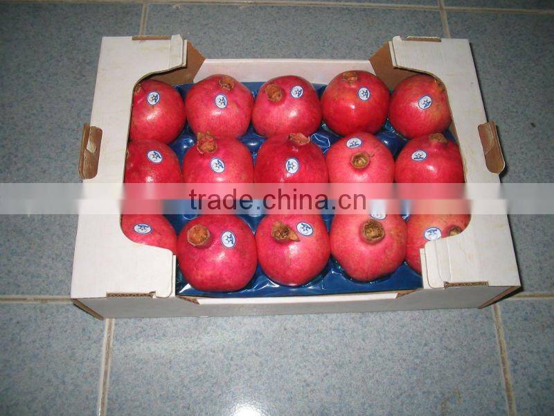 Fresh Peach Tray/Packaging For Fruits in food grade