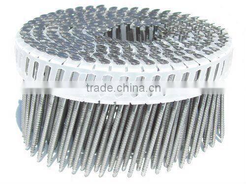 plastic collated high quality steel coil nails(2013)