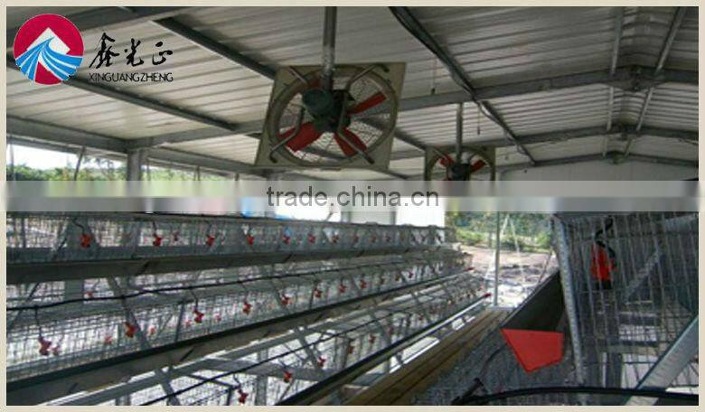 boiler chicken house