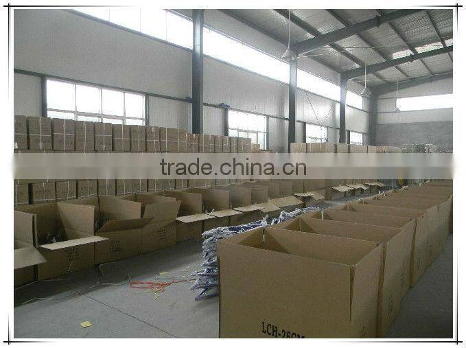 Unique 28" bike for adult