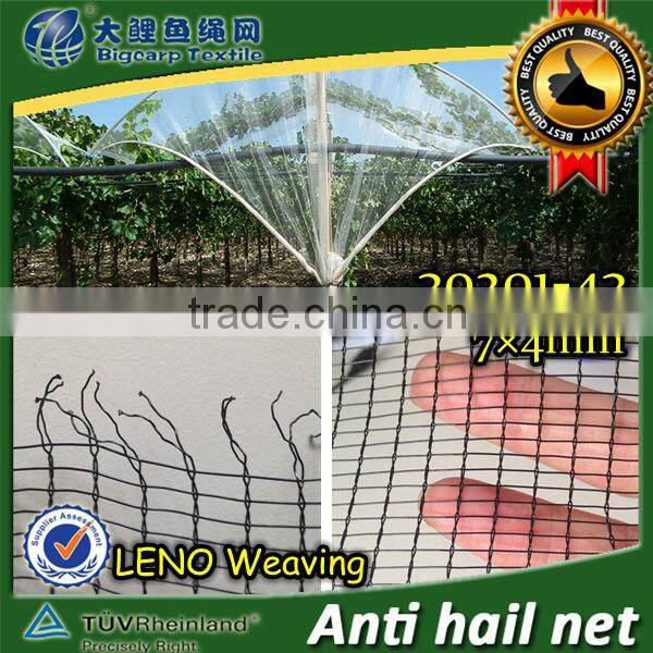 Black Leno Weaving hail netting , 30201-43 7x4mm