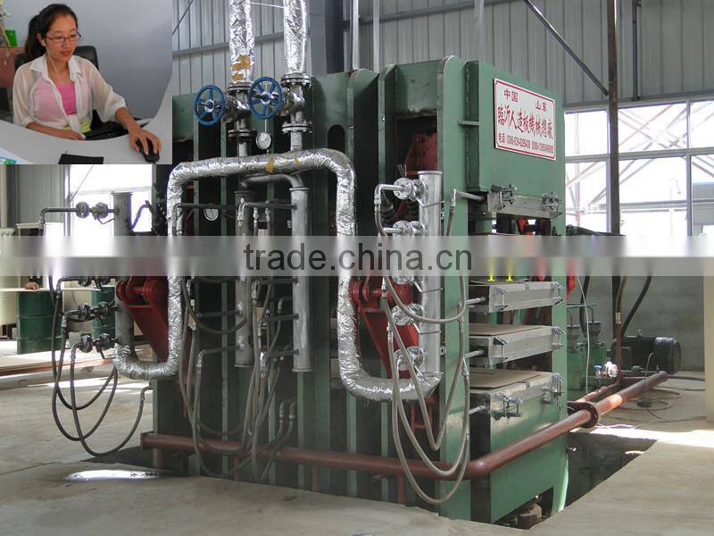 hot press machine for molded door skin made in China