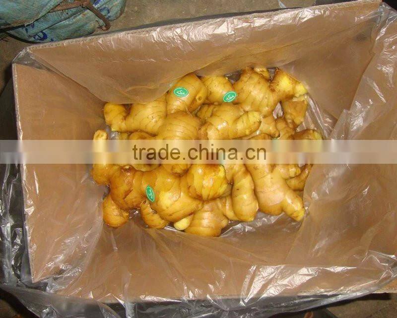 Chinese Fresh Ginger