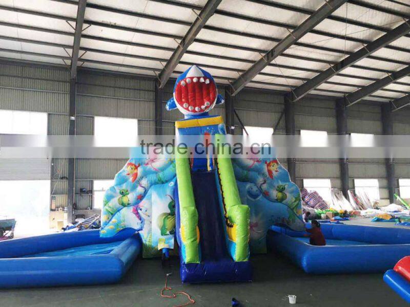 jumping castles inflatable water slide,inflatable vagina slide