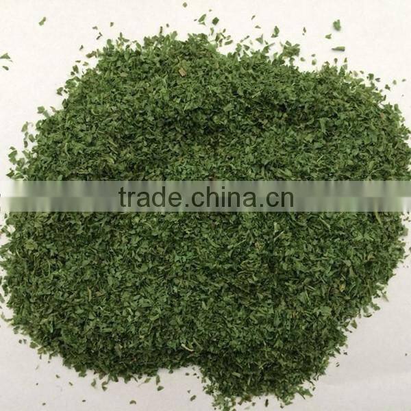 2016 New Crop Dehydrated Parsley Leaf