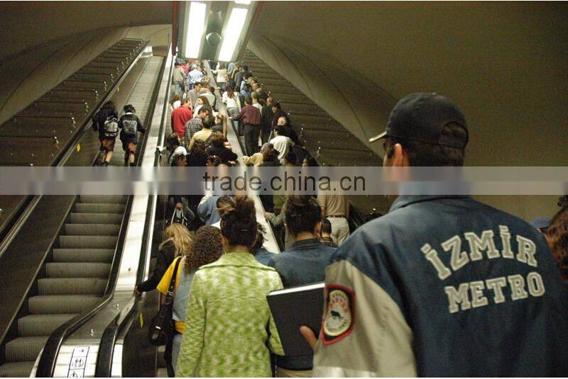 Good Quality Long Service Life Save Purchase Escalator Cost Use For Home Escalator or Escalator Residential