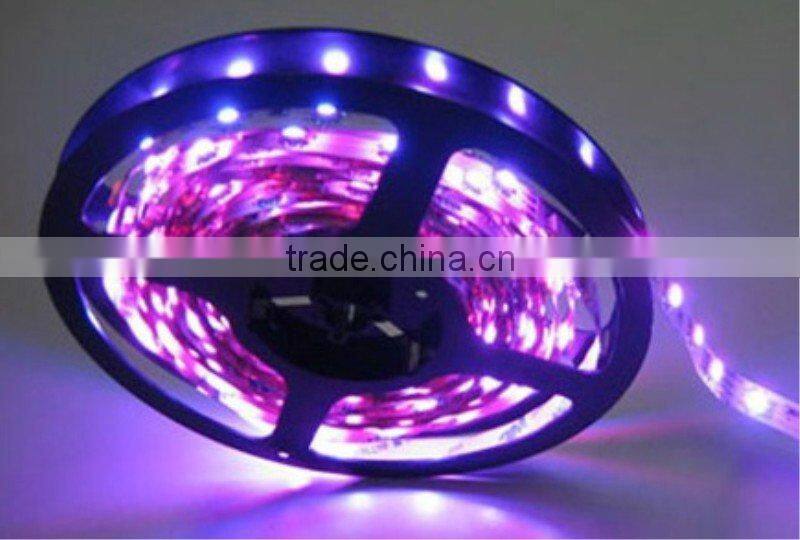IP68 SMD5050/SMD3528 RGB Christmas led flexible rope light for Decoration