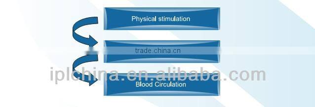 New Products 2014 Body Sculpting Beauty Salon Machine-PEMF Shape 2