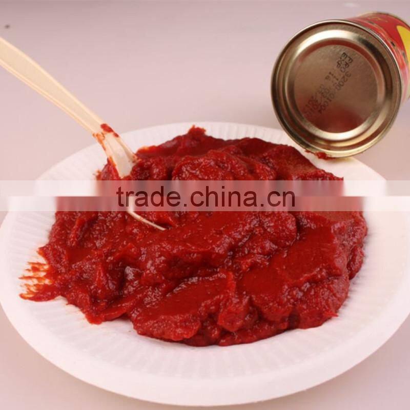 400g Canned Tomato Paste Tomato Ketchup tomato paste processing plant