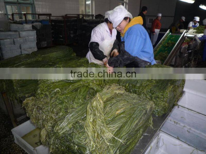 Frozen wakame stem cut salted